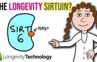 The longevity sirtuin – what you need to know about SIRT6