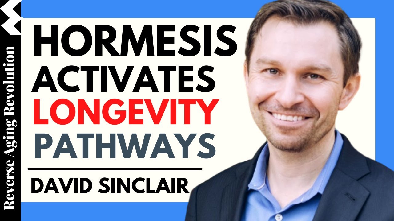 DAVID SINCLAIR “Hormesis Activates Longevity Pathways” | Dr David ...