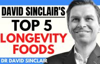 Dr David Sinclair’s TOP 5 LONGEVITY FOODS | Dr David Sinclair Interview Clips