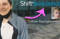 Inside a Longevity Biotech Company – Shift Bioscience (Cellular Reprogramming)