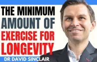 The-Minimum-Amount-Of-Exercise-For-Longevity-Dr-David-Sinclair-Interview-Clips