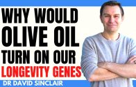 WHY Would OLIVE OIL Turn On Our LONGEVITY GENES? | Dr David Sinclair Interview Clips