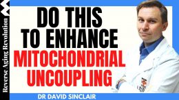 DO-THIS-To-Enhance-MITOCHONDRIAL-UNCOUPLING-For-Optimal-Health-Dr-David-Sinclair-Interview-Clips